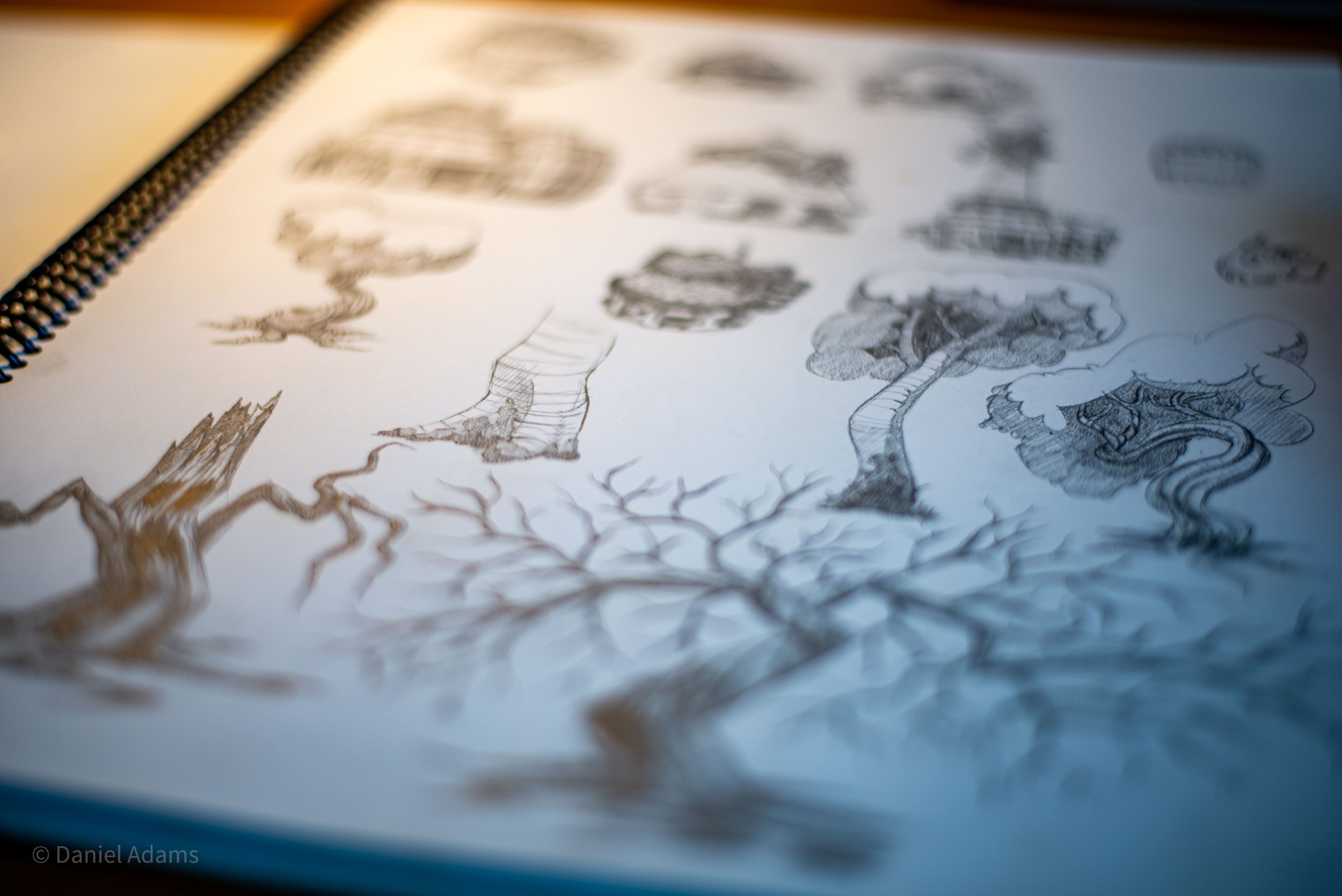 da_portfolio-42.jpg