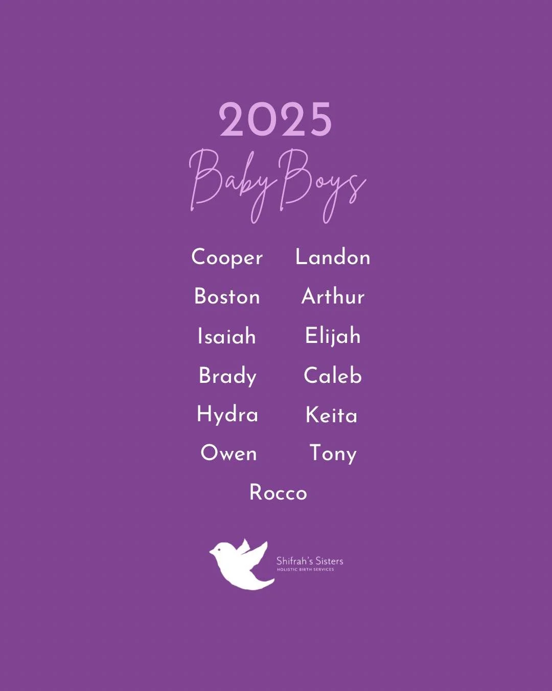 Oops! Forgot to post this draft last month 🤪

Happy New Year to all our beloved babies who joined us in 2025!! 

&lsquo;Twas a year of the boys around here! 🥳

💜💜💜

#homebirth #homesweethomebirth #frederickmidwife #marylandmidwife #babynames