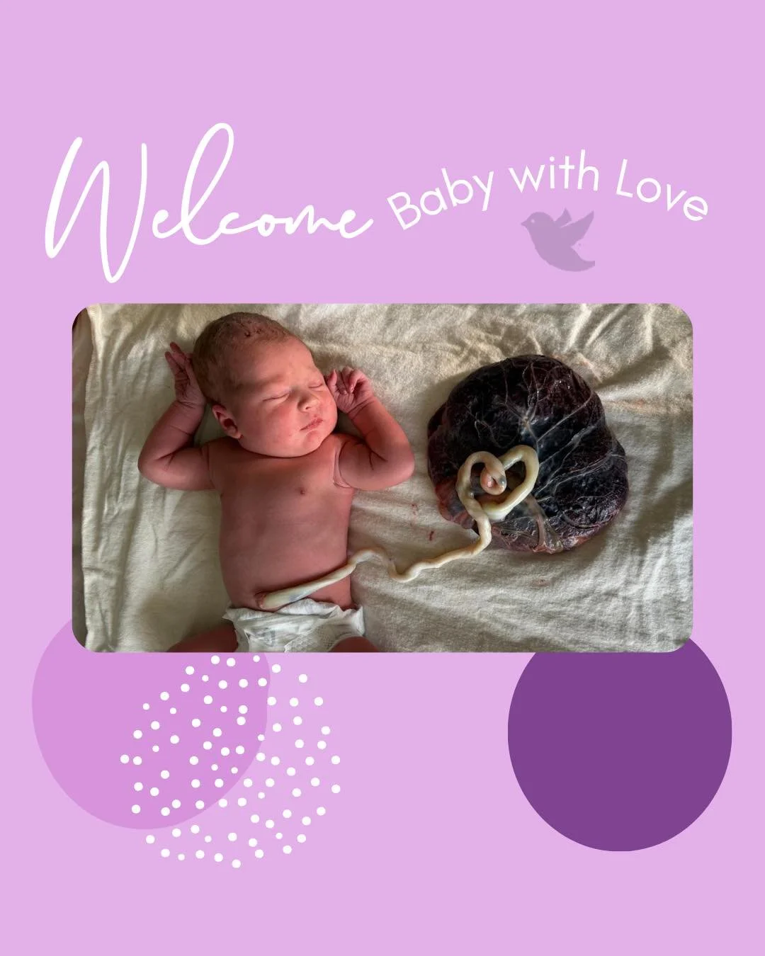 Welcome baby girl! Born at home in Maryland on 2/7/26 weighing 7lbs. 3oz. and 20.25 in. length.

Congratulations to her loving parents and family! 

The birth was attended by midwives Elizabeth Reiner @aligned_antisemitism_activist and CNM Erica Hawk