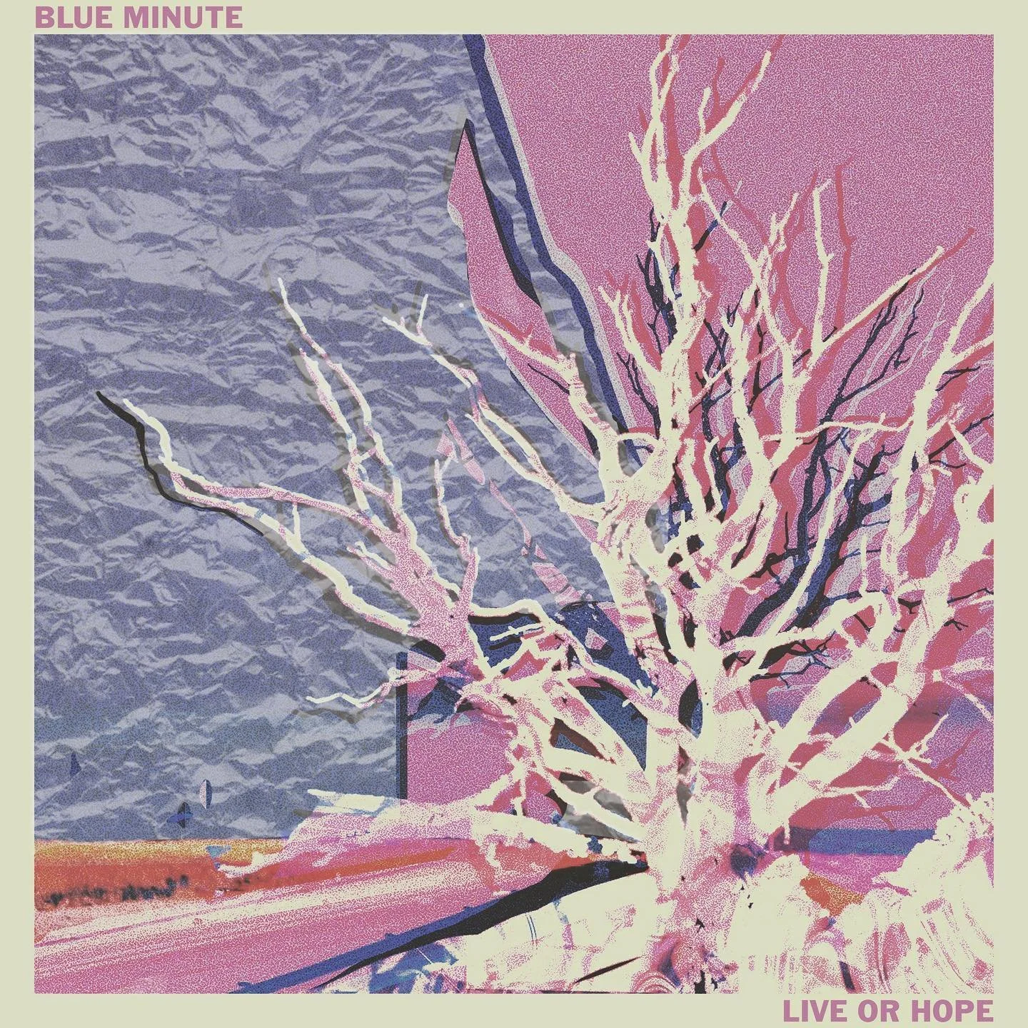 Blue Minute - Live or Hope.jpg