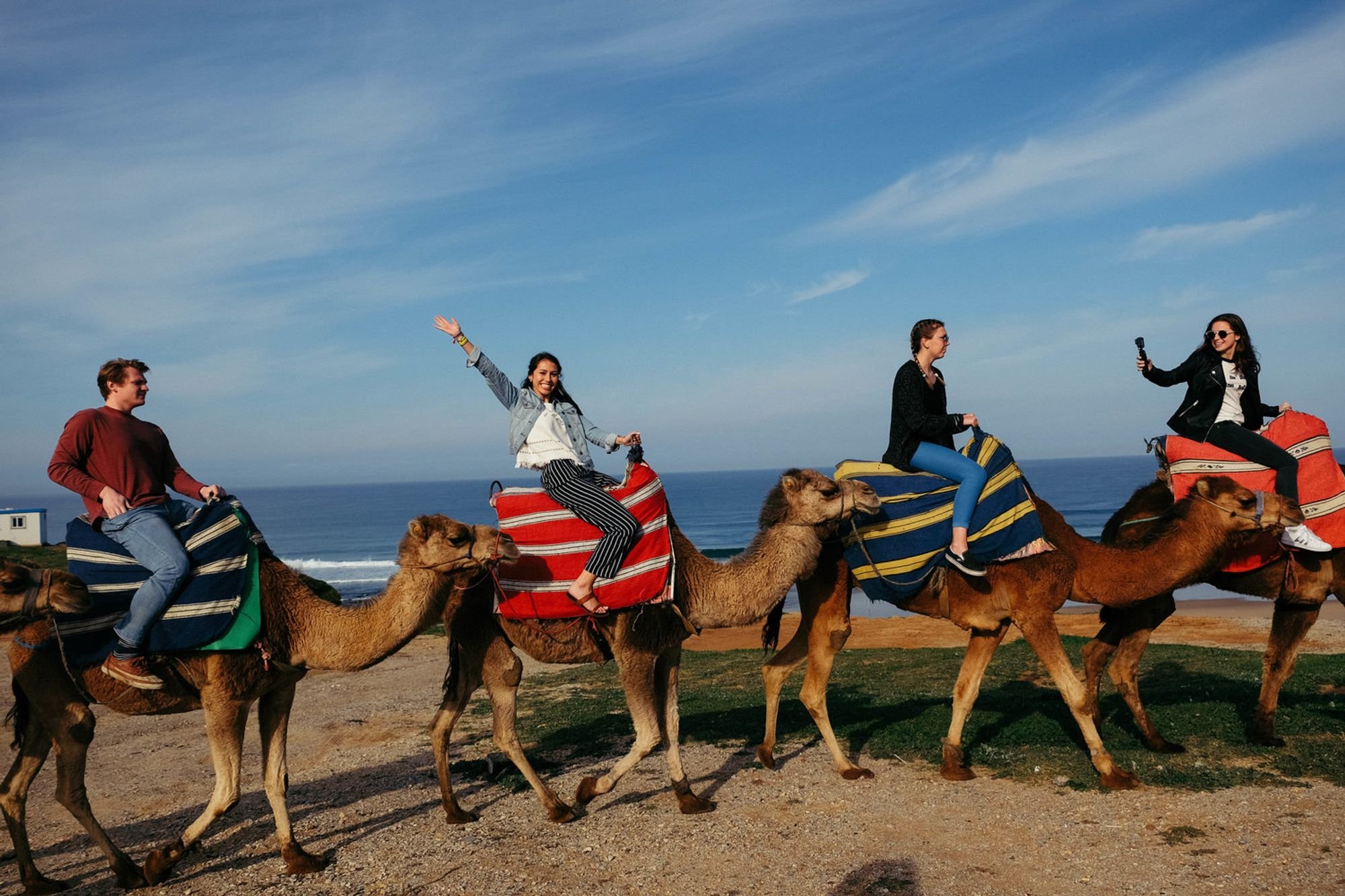 Camels At Cape Spartel 