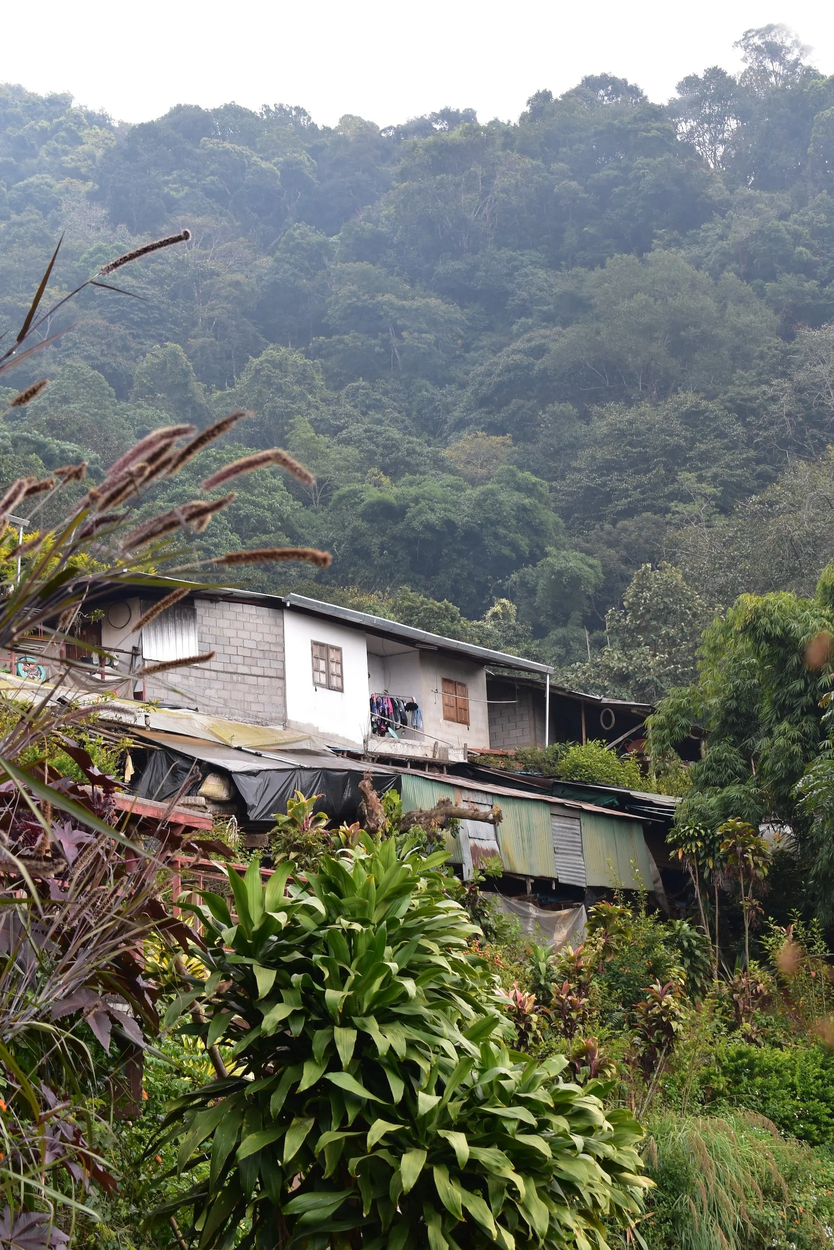 Northern Thailand and Hilltribe Trek