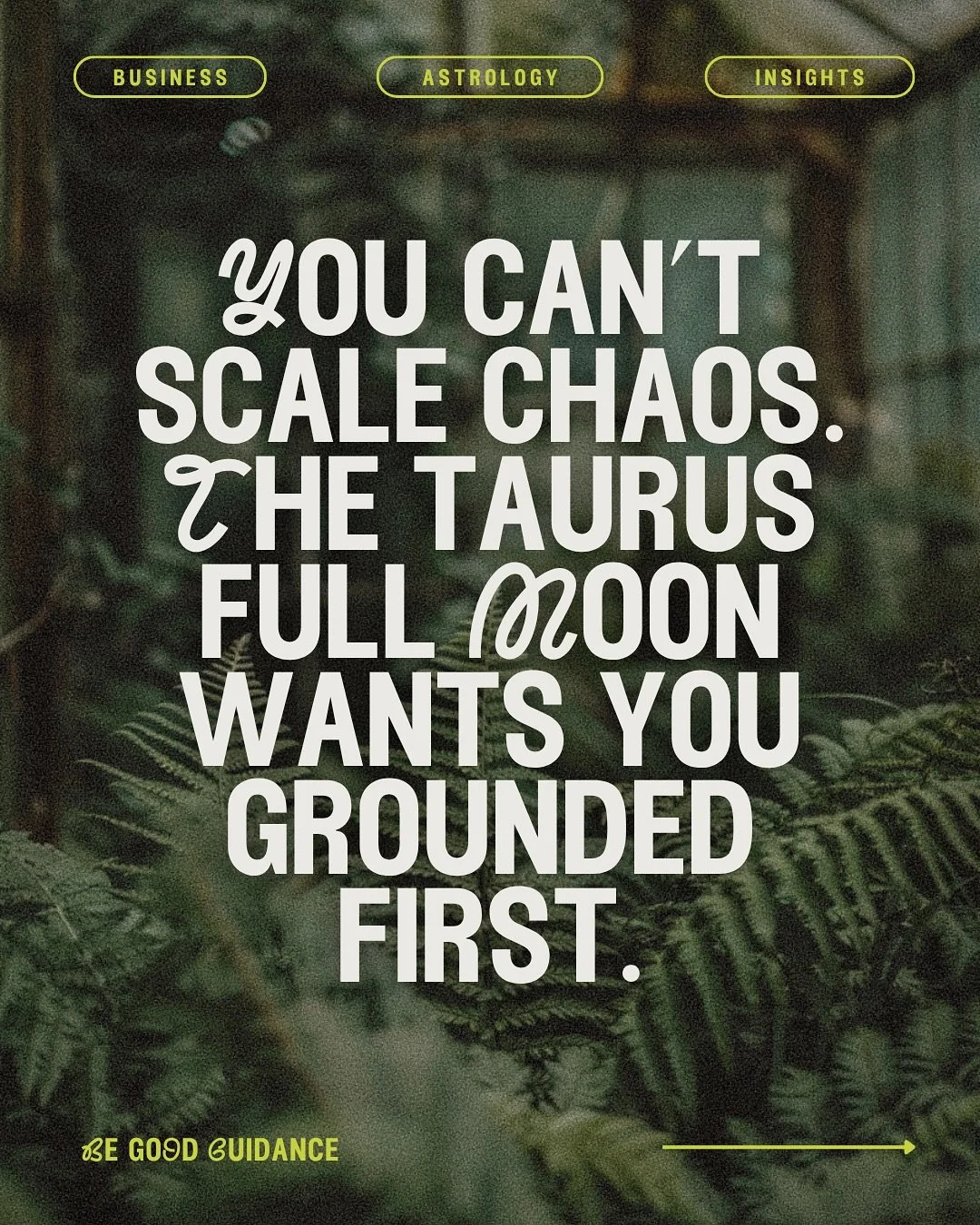 The Taurus Full Moon reminds you that peace is the strategy.
 This is about feeling safe enough to sustain what you&rsquo;ve already built instead of always feeling like you have to do MORE.

If you&rsquo;ve been craving grounded, soul-led business i