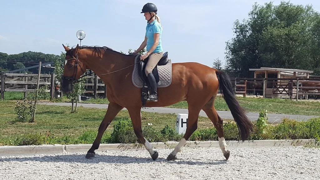 How soon after bodywork can a horse return to full work?