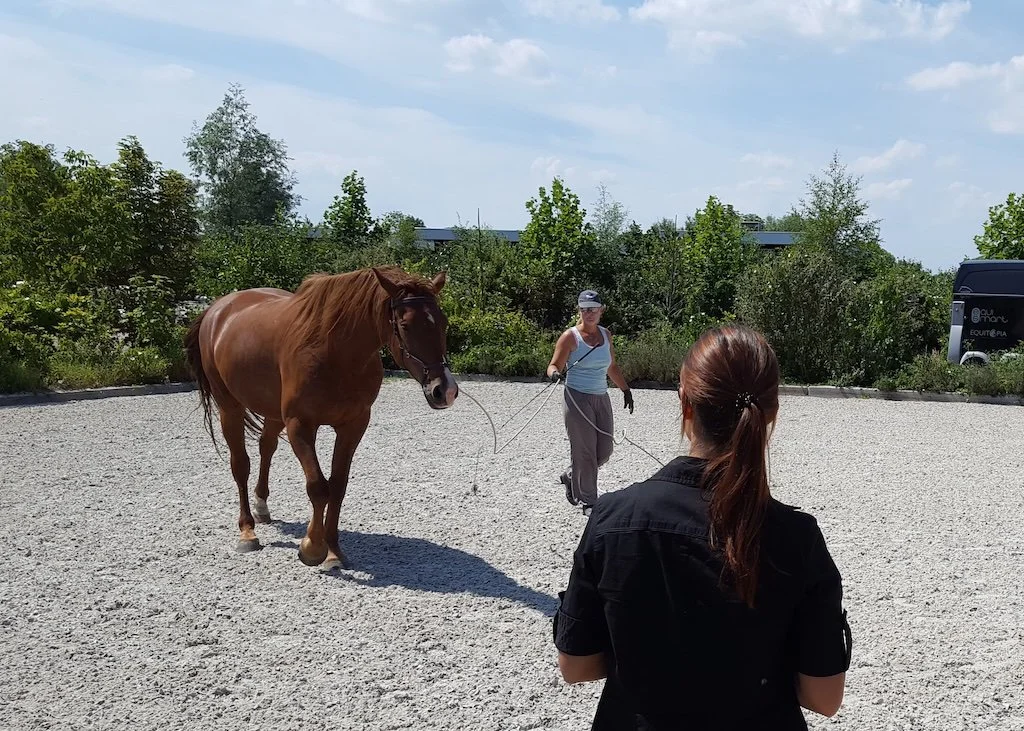 Why lameness assessment is tricky