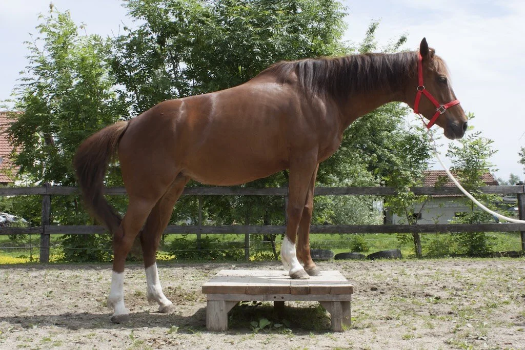The tricky balance of movement and rest