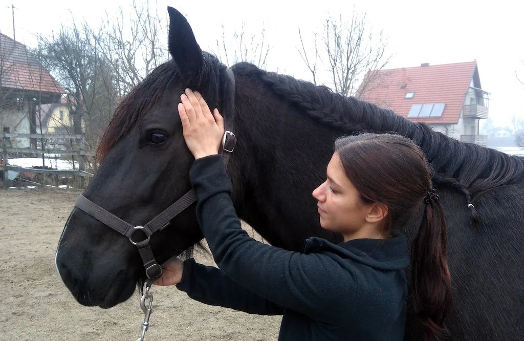 Don't ignore the horse's head
