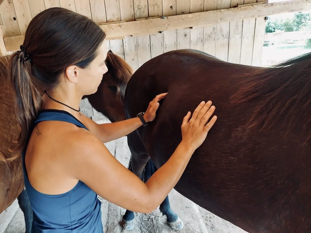 Relieving back pain during chronic lameness