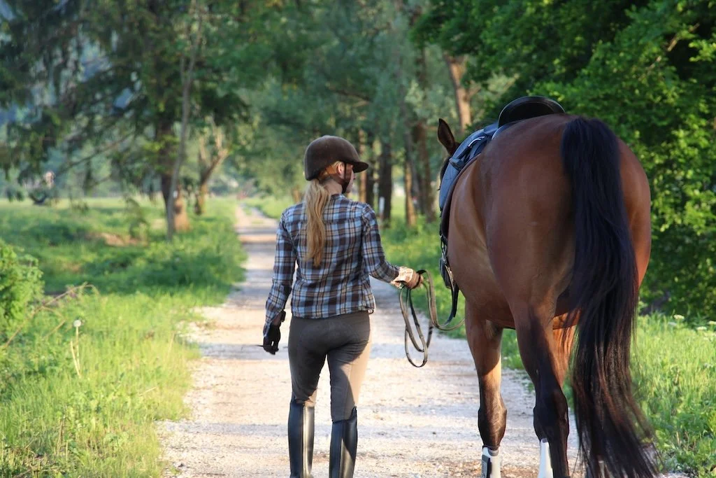 Riding in walk only – friend or foe? — The Functional Horse