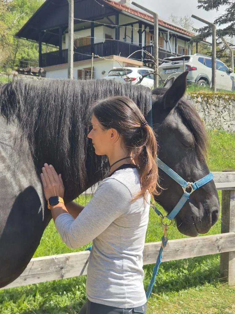 Bodywork for difficult horses