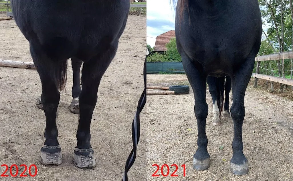 Observing changes in the thoracic sling