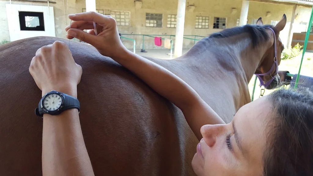 Is the problem really in the SI joint?