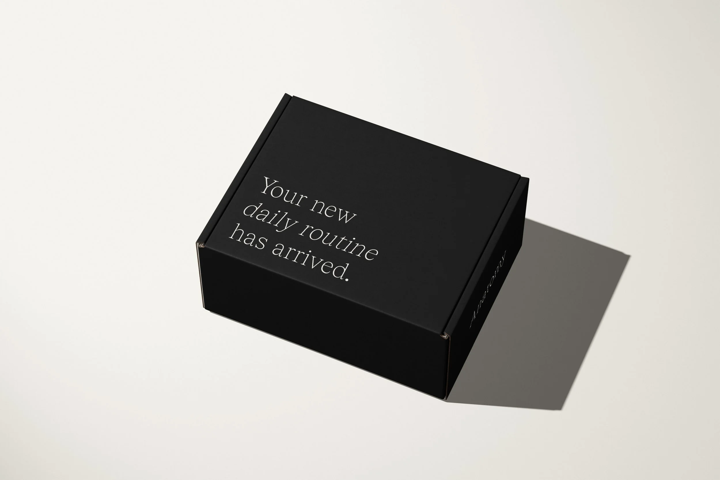 Anatomy Subscription Box