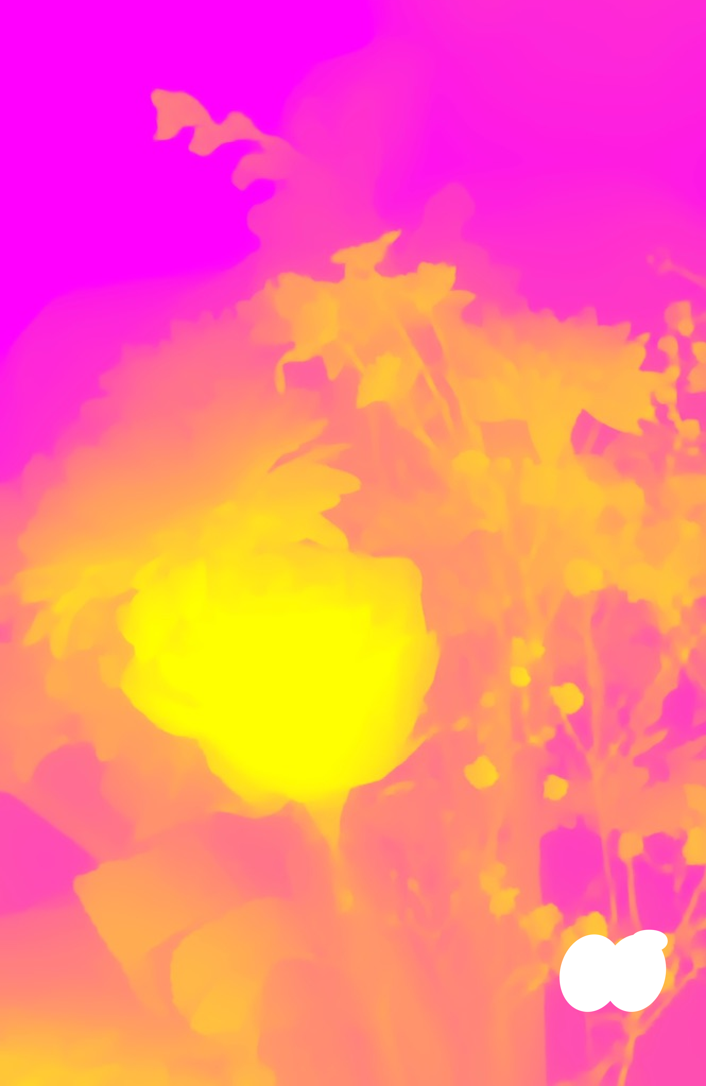 B5.png