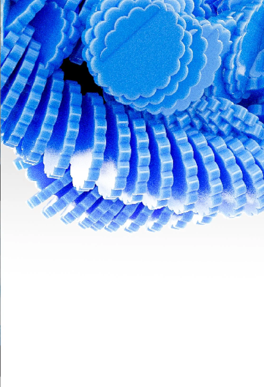 Screenshot 2025-05-28 at 12.59.jpg