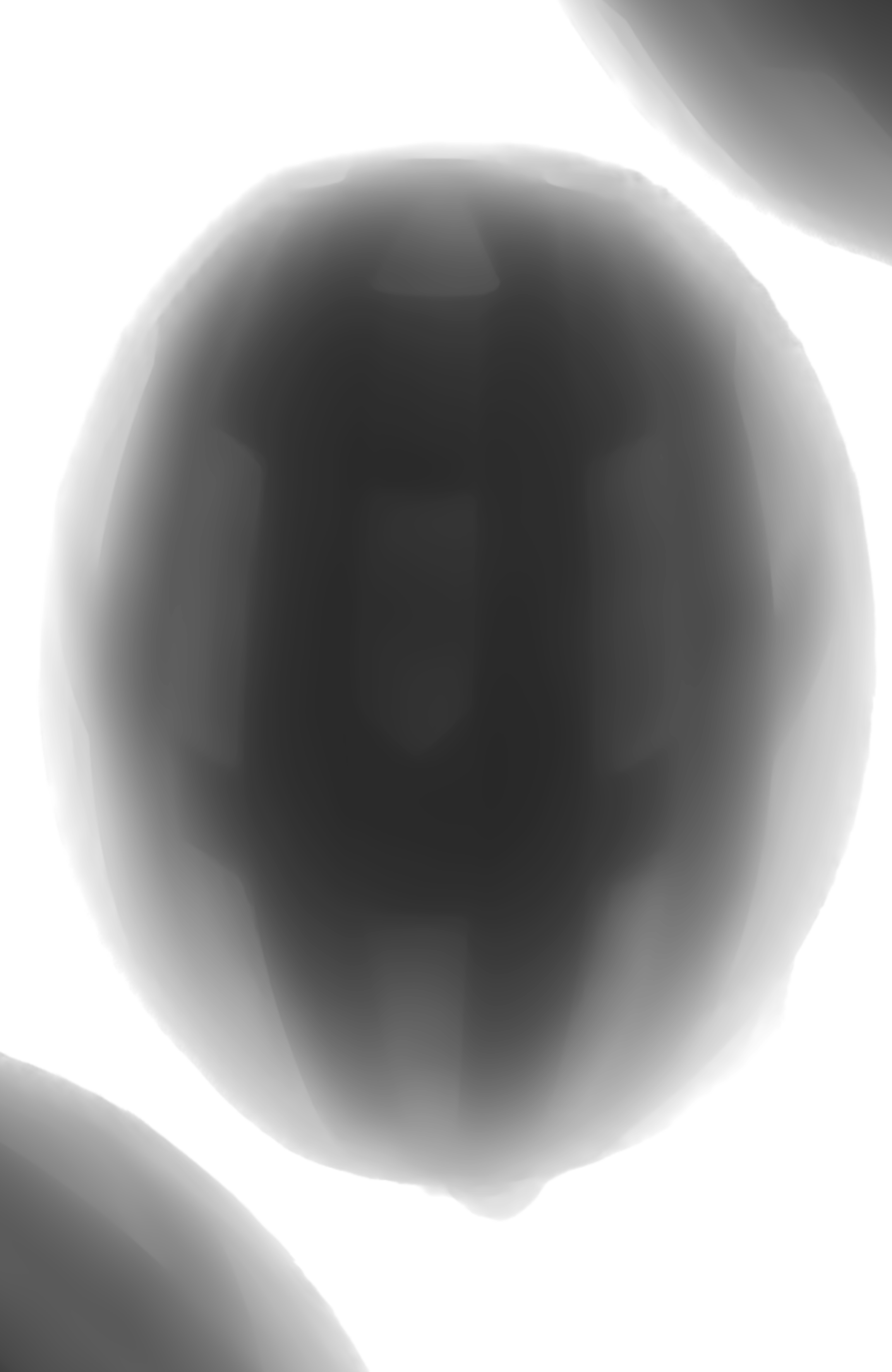 44.png