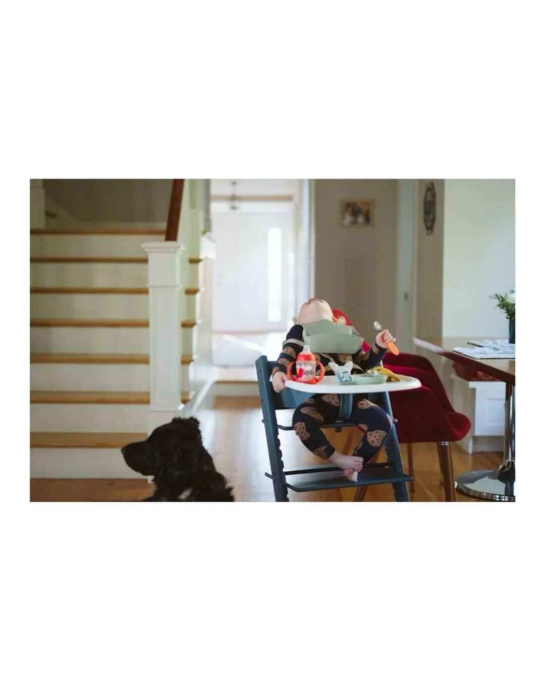 In November, I had the chance to visit my friend @bridgetjb, to meet her son, Rory, to reconnect with my dog-love Kiwi, and I got to be one of the first guests in their new home. Bridget, was pregnant with Rory&rsquo;s little brother, who arrived thi