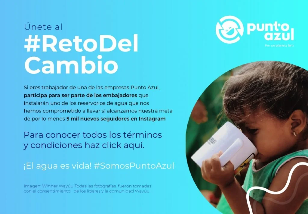  Rincón con iluminación natural en un comedor con jarrones, platos y frutas sobre la mesa. 