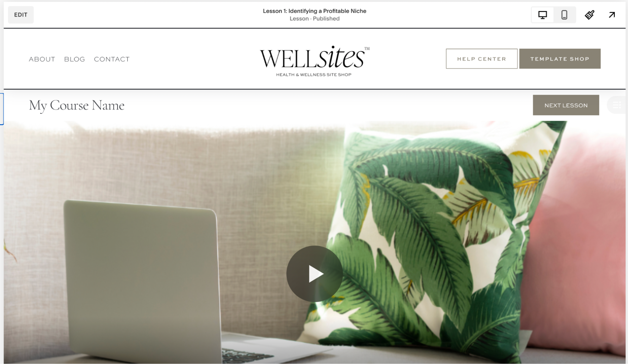Screenshot of Squarespace course design options