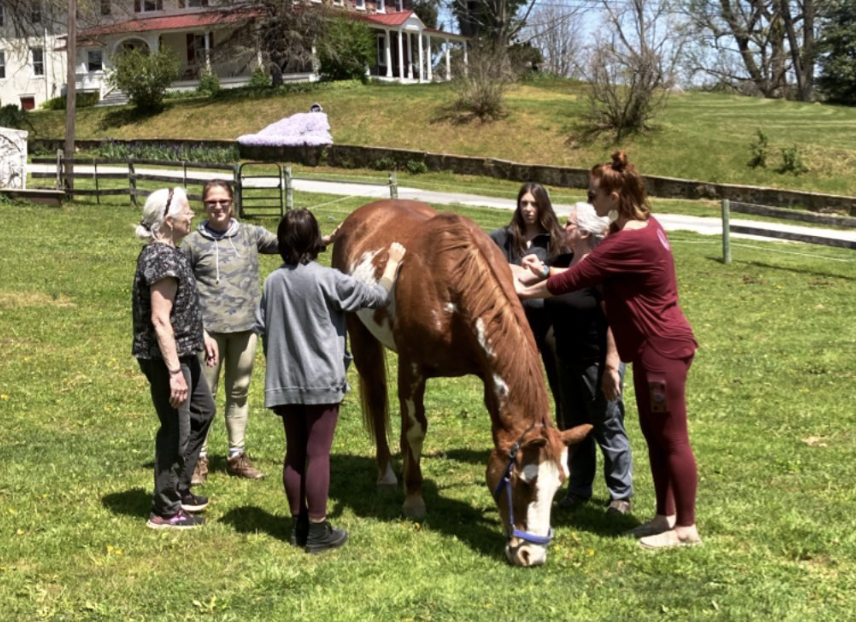 Screen Shot 2022-12-27 at 12.45.41 PM.png