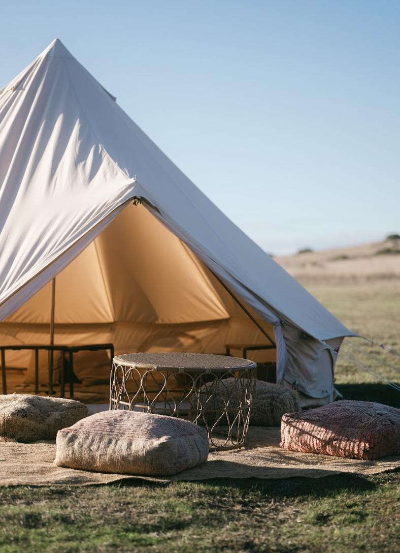 Screen Shot 2026-02-03 at 11.24.03 AM.png