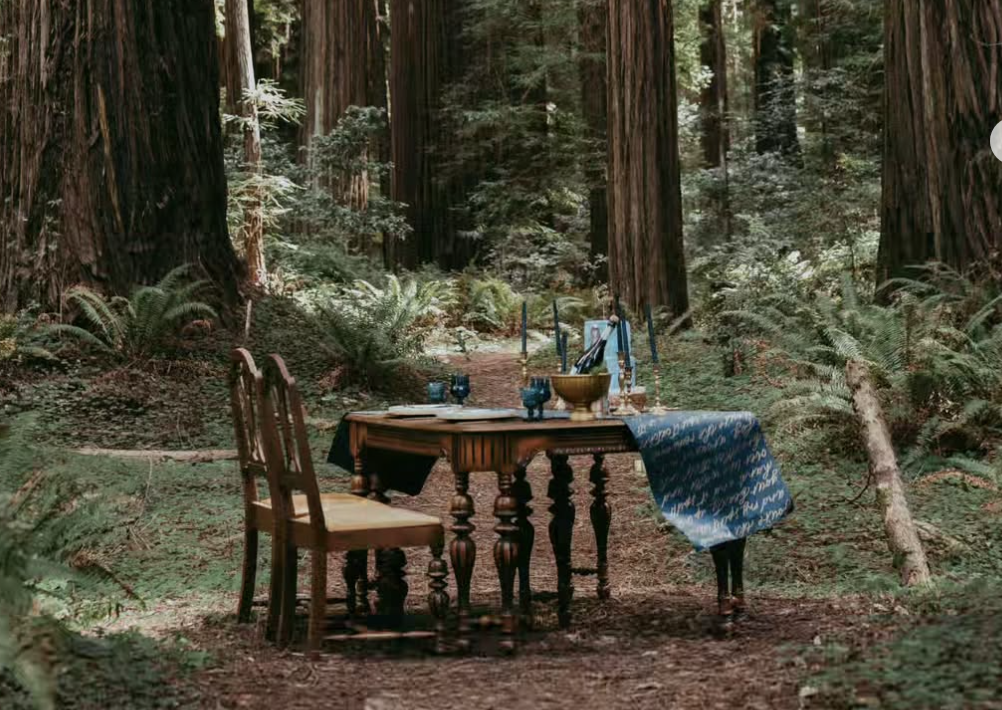 Elope in the Redwoods: Your Intimate Humboldt County Wedding Guide