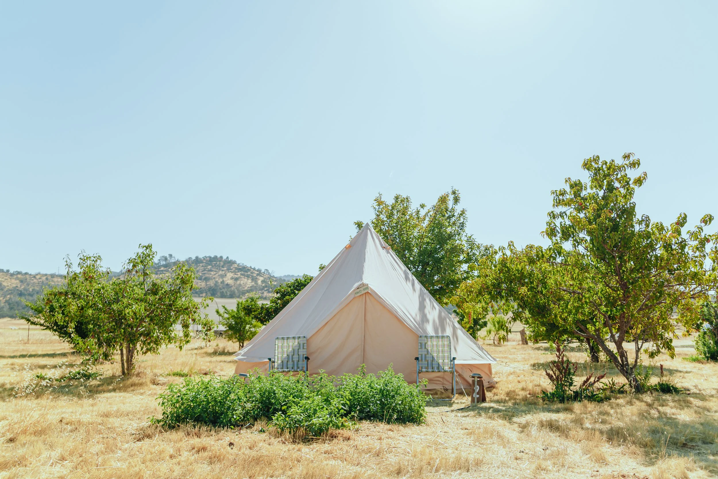Corporate glamping rentals