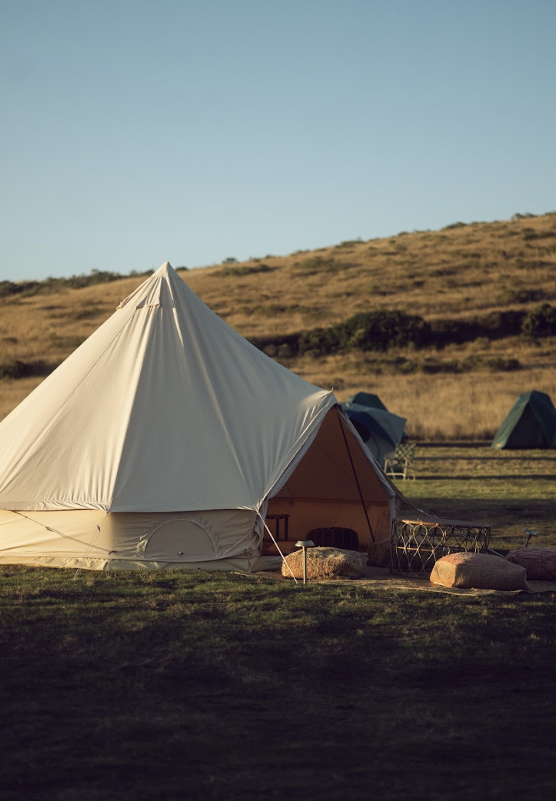 Screen Shot 2026-02-03 at 11.23.52 AM.png