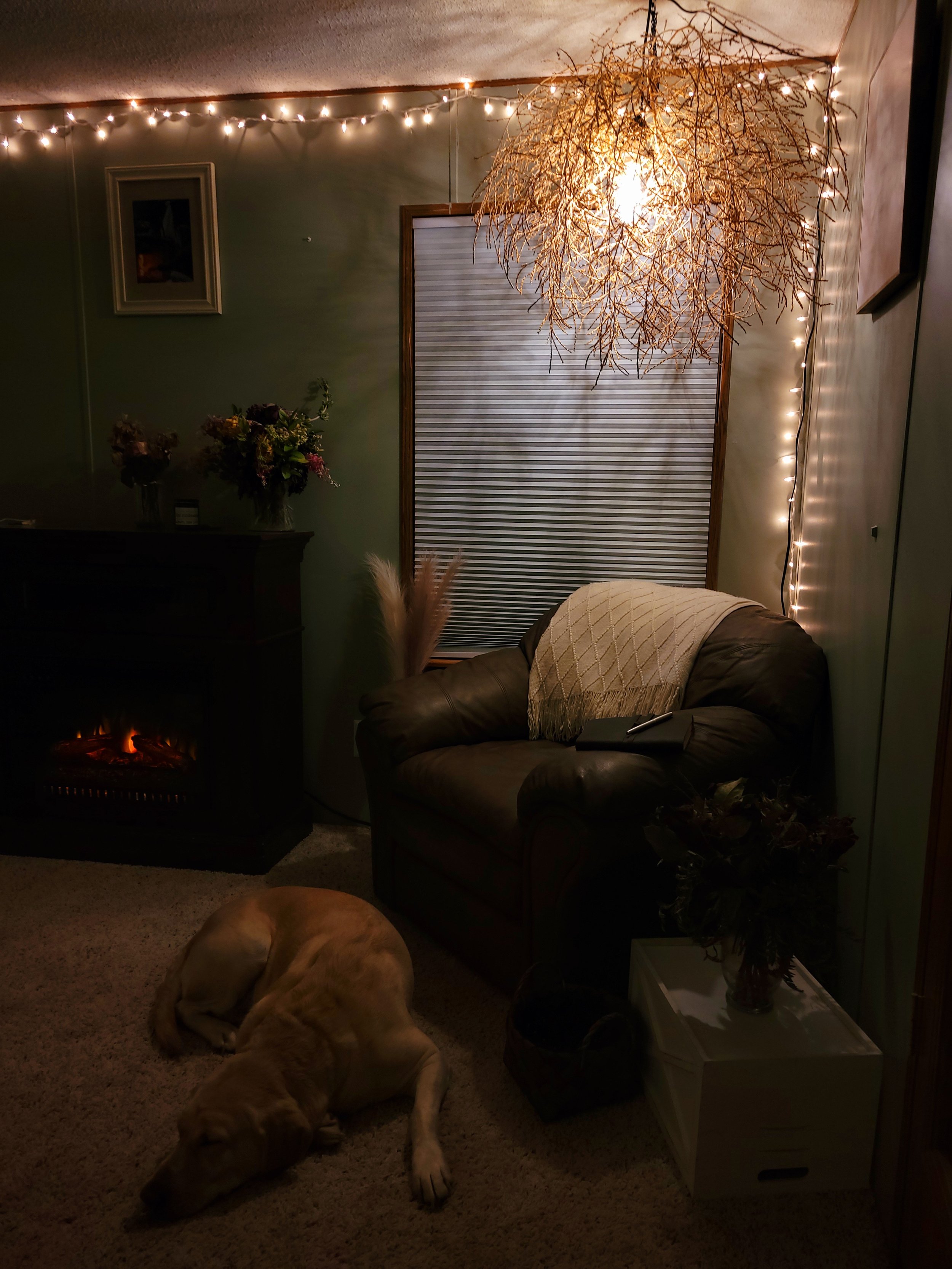 20221217_010502.jpg