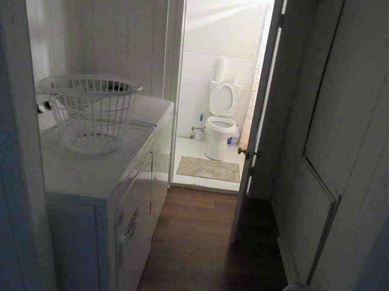 Screenshot 2026-02-20 235503.png