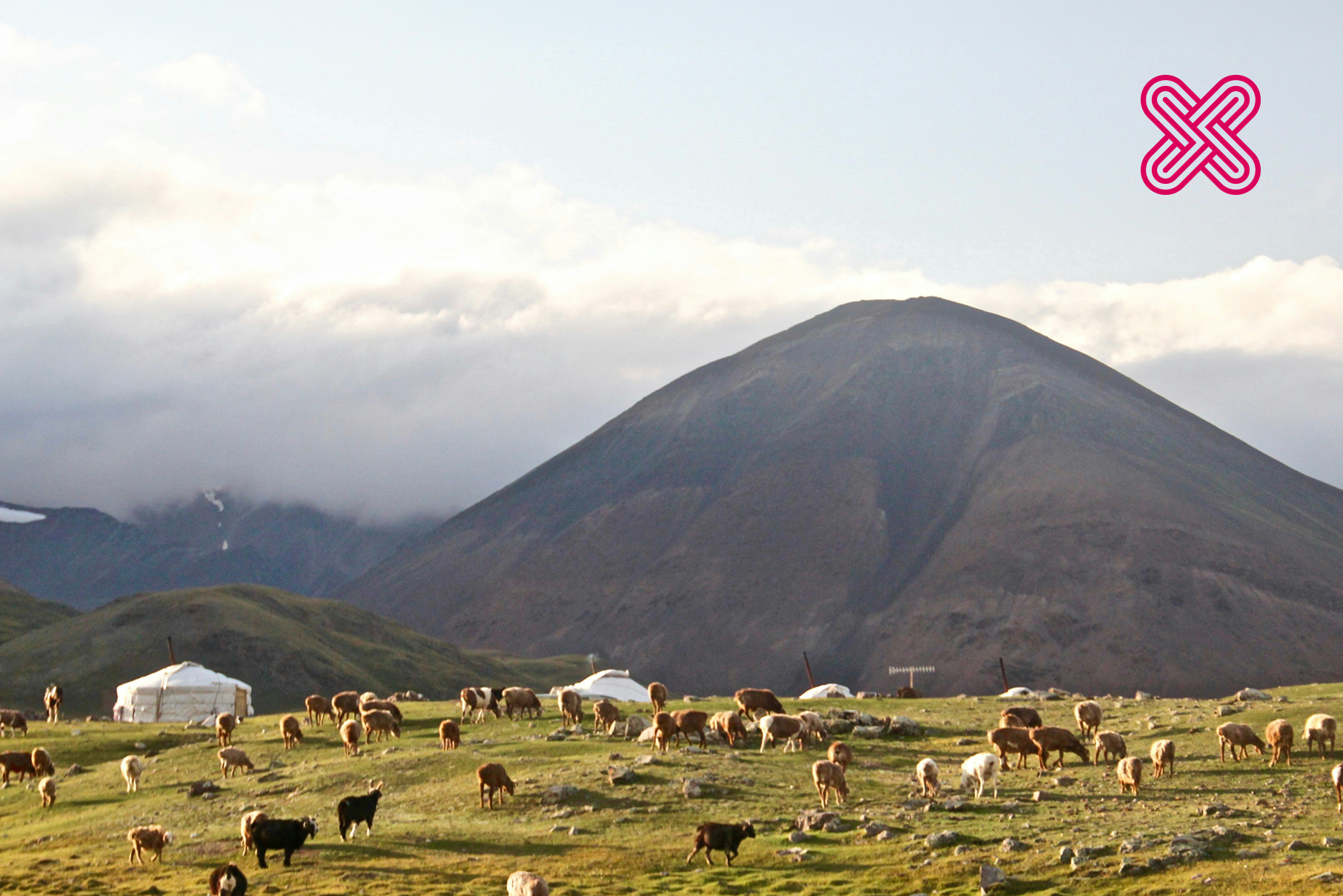 Global Exchange: Mongolia