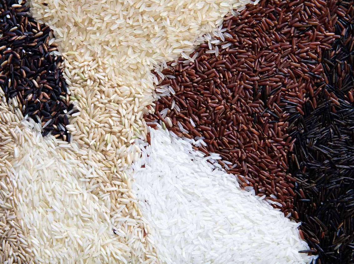 A Guide to Rice Varieties: Basmati, Jasmine, Arborio, and More