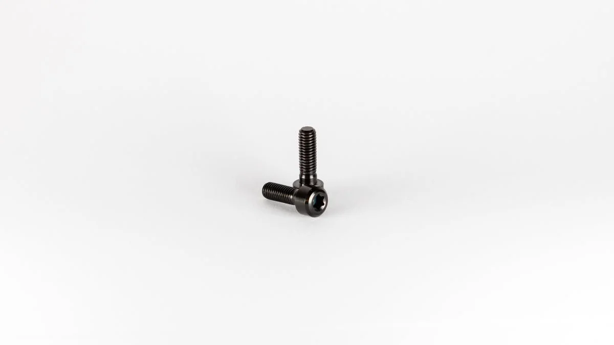 StemboltsForTheEternalStem-10_1200x.jpg