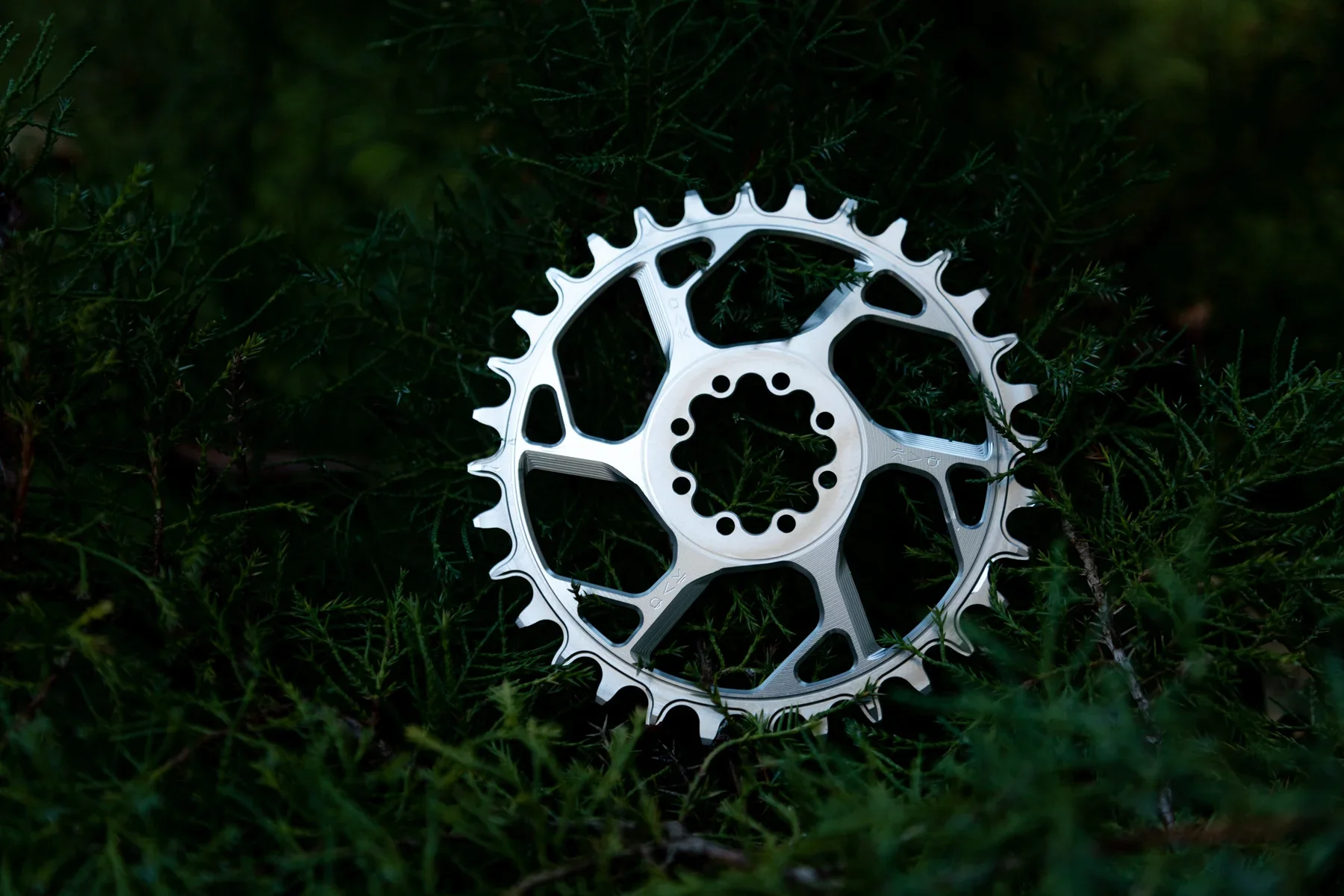 Amulet_Chainring_raw-28 2.webp