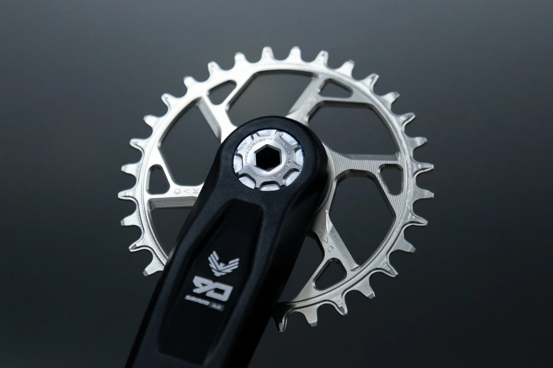 Chainring 1.webp