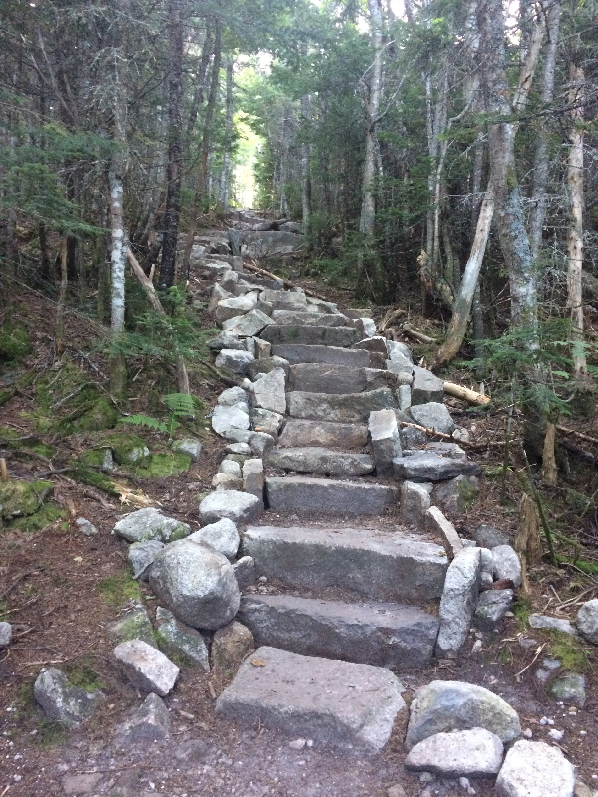 Stone stairway ascending through a forested trail surrounded by trees and greenery.