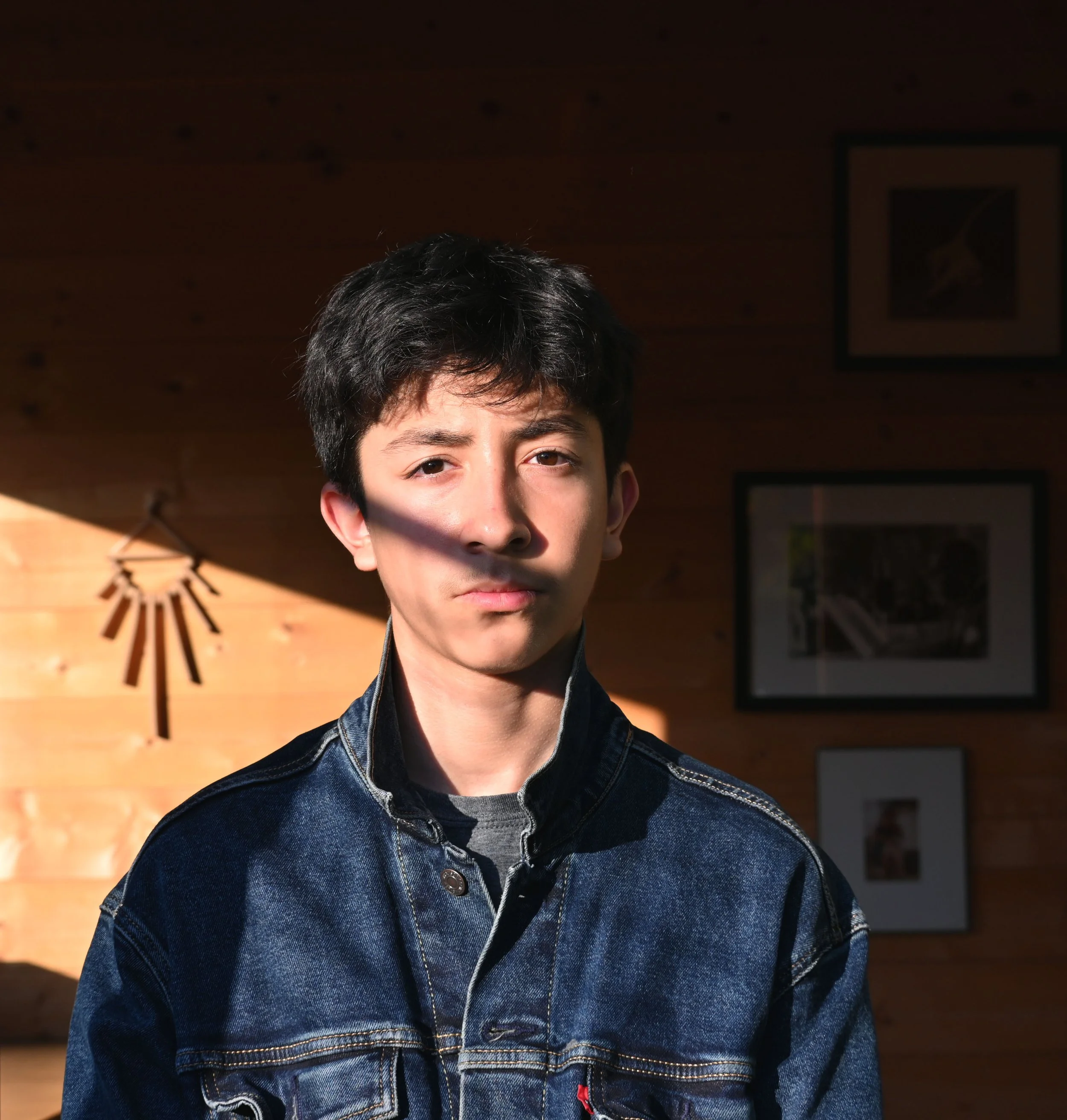 Young man with dark hair wearing a denim jacket, standing indoors with wooden wall background and framed pictures, partially lit by sunlight.