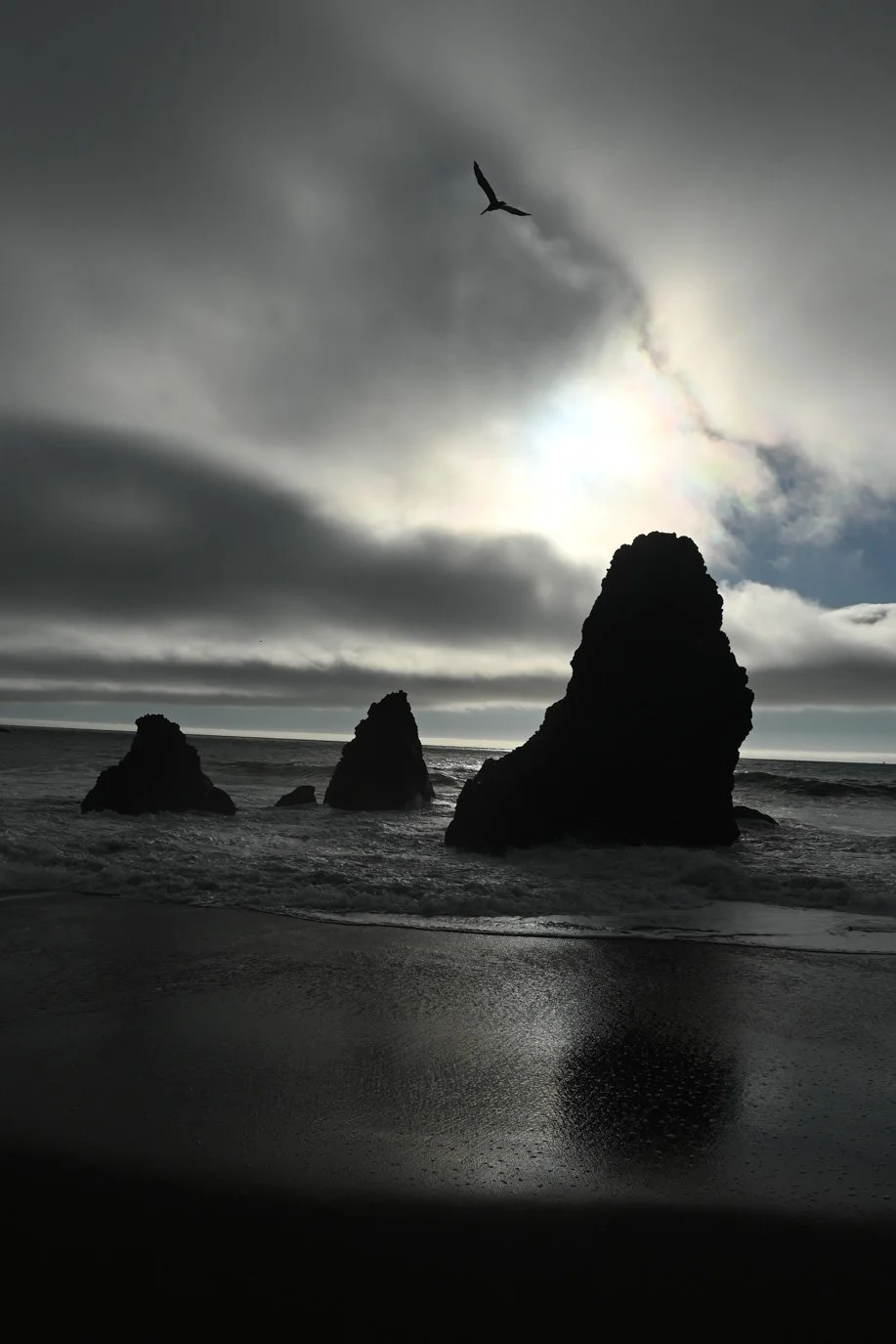 SylvieWebsite_PerspectivesPhosoSchool (37 of 37).jpg