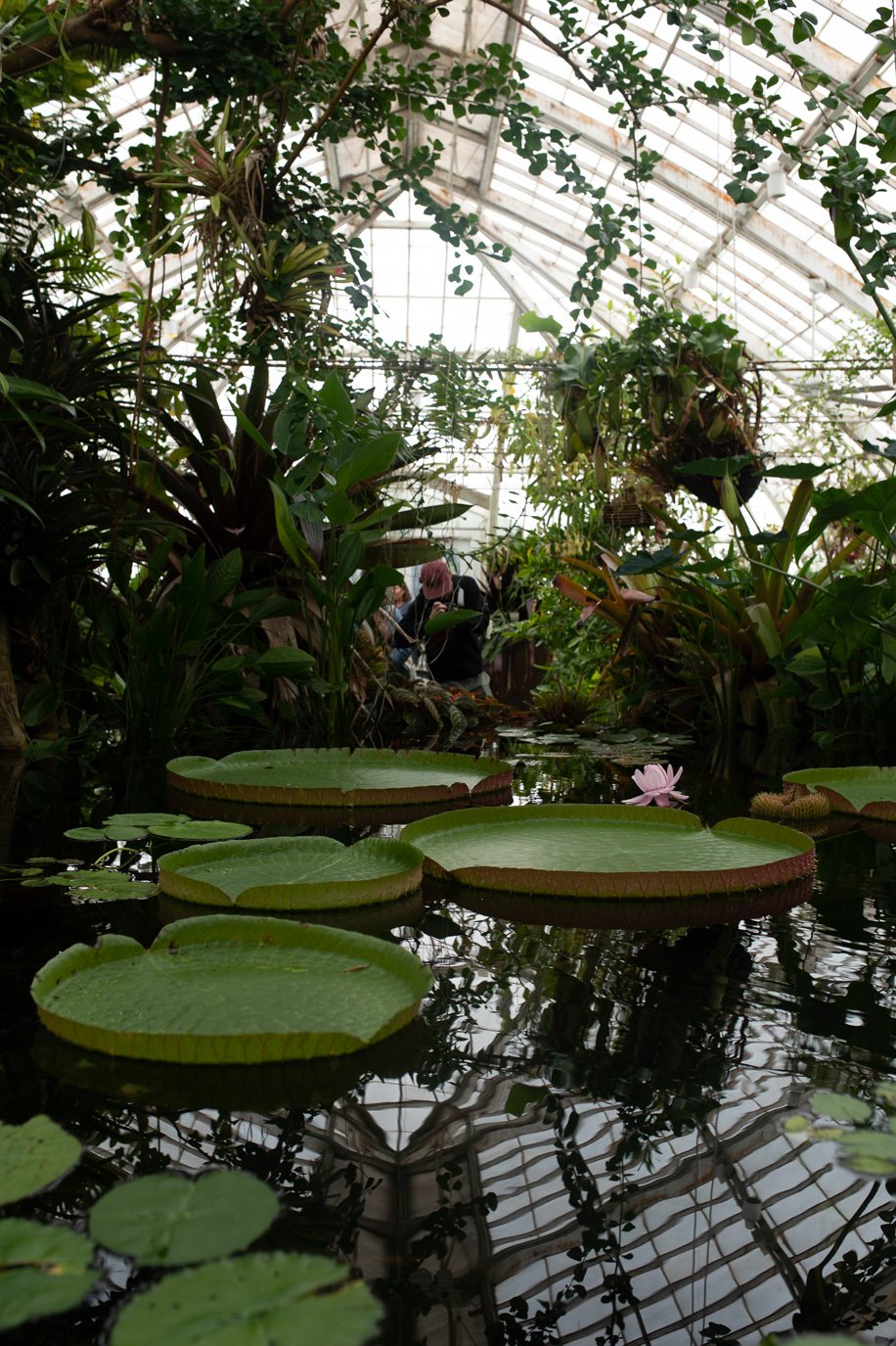 SylvieWebsite_PerspectivesPhosoSchool (16 of 37).jpg