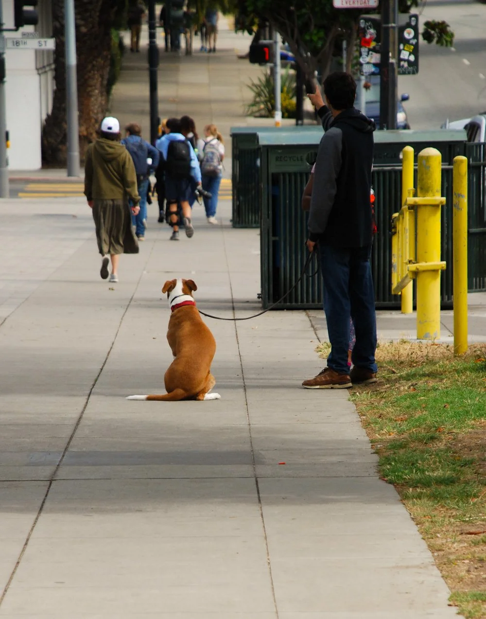 SylvieWebsite_PerspectivesPhosoSchool (10 of 37).jpg