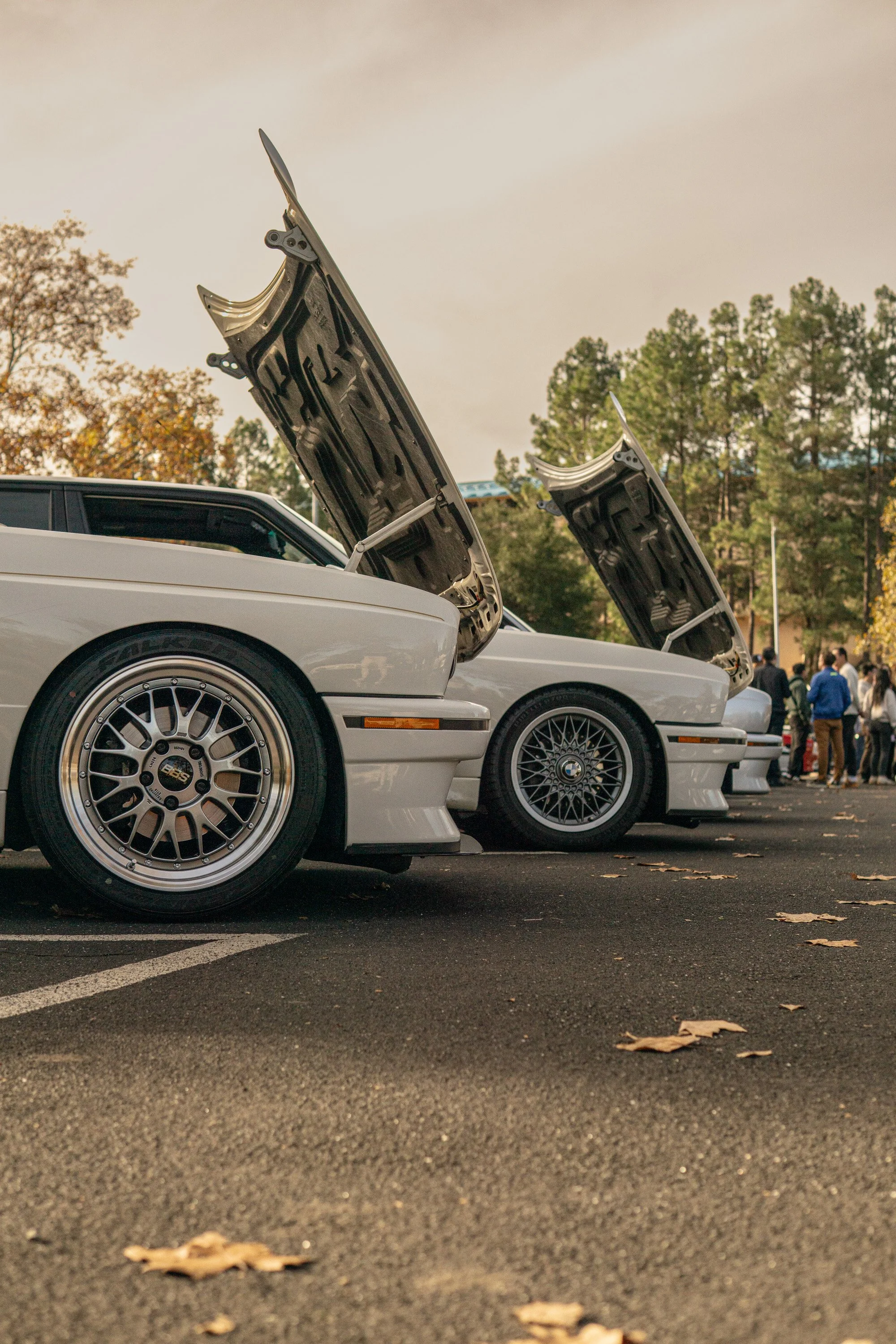 LoganSinger_PerspectivesphotoschoolPortfolio (6 of 30).jpg