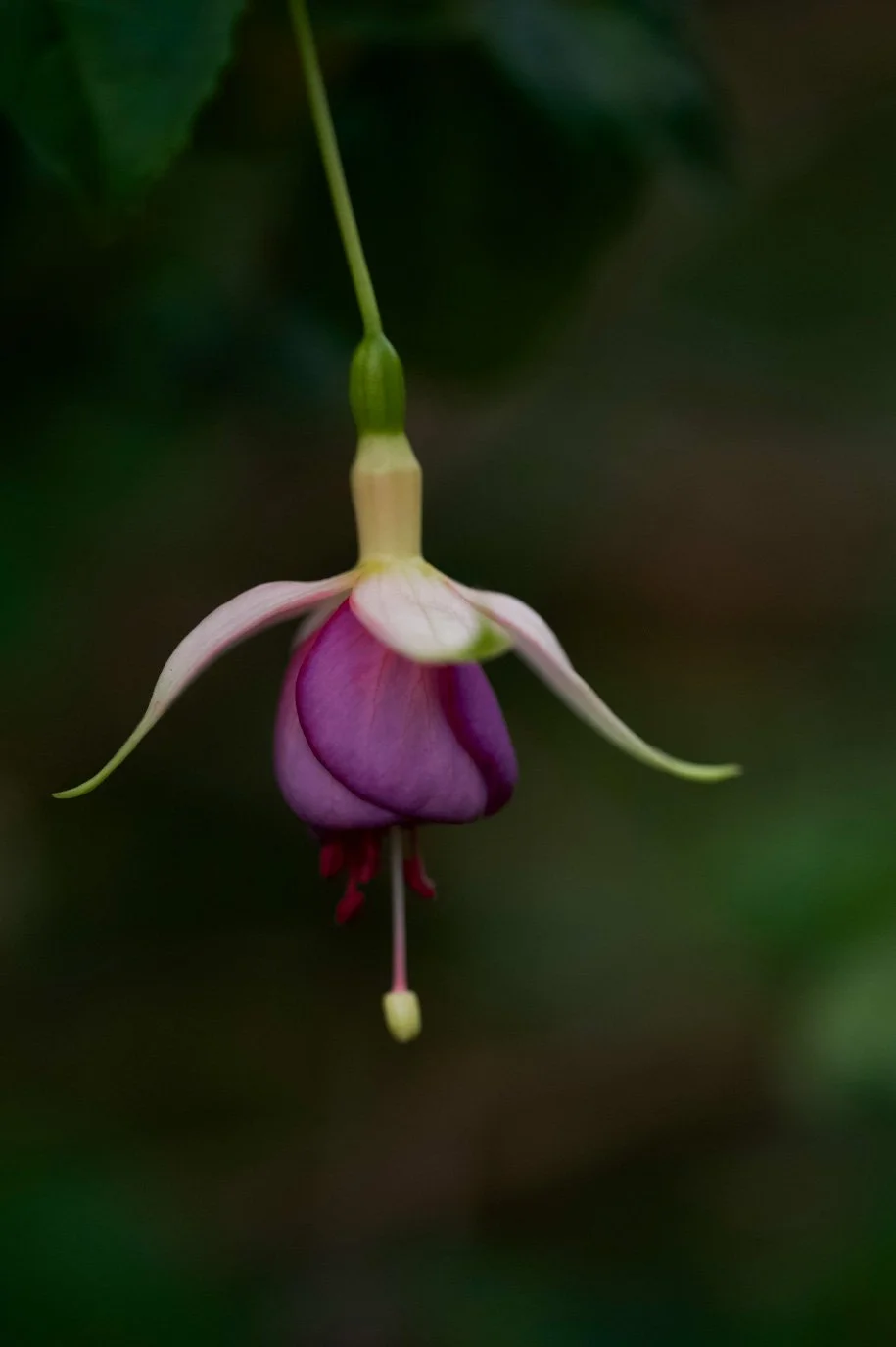 SylvieWebsite_PerspectivesPhosoSchool (17 of 37).jpg