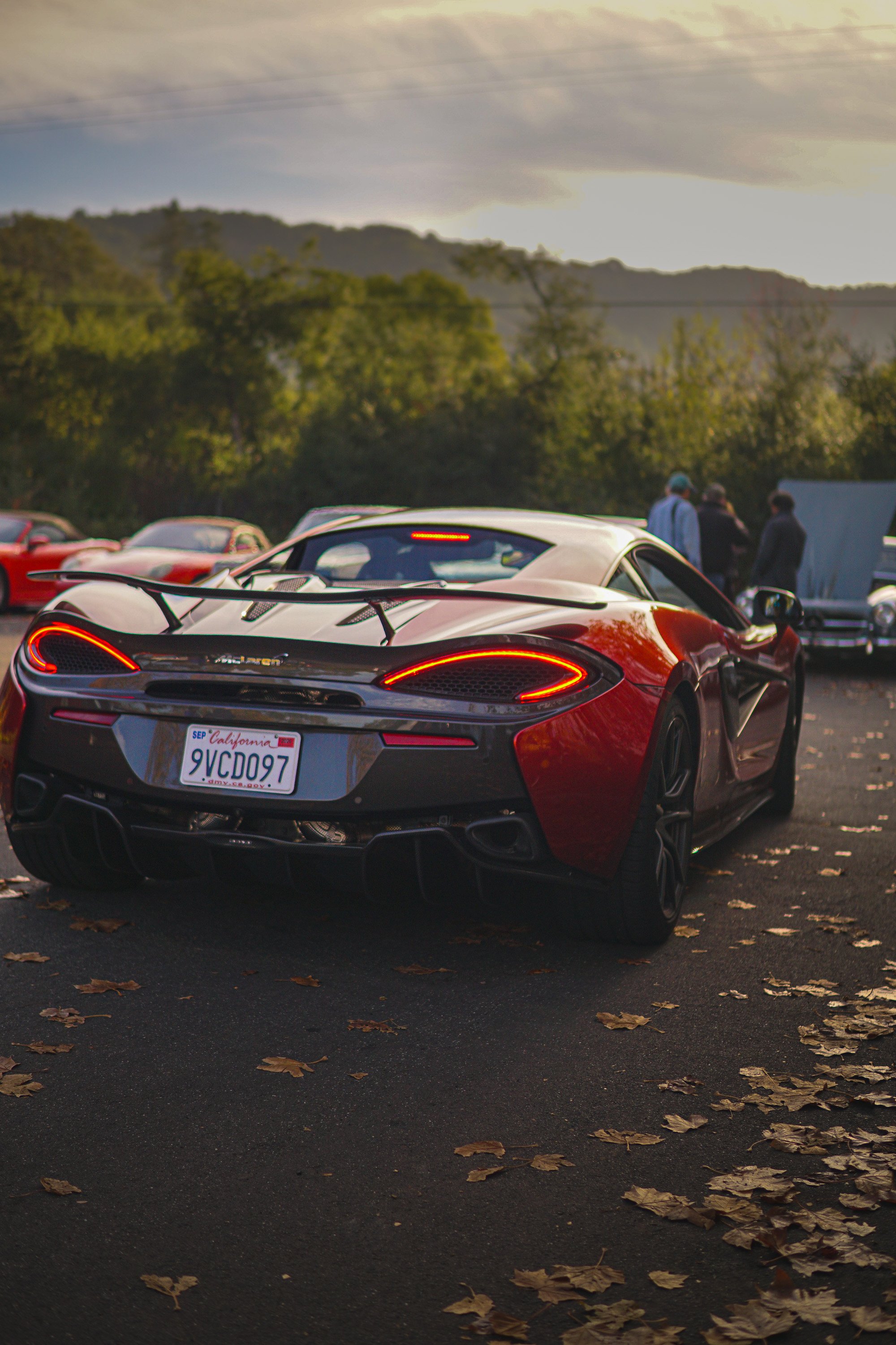 LoganSinger_PerspectivesphotoschoolPortfolio (2 of 5).jpg