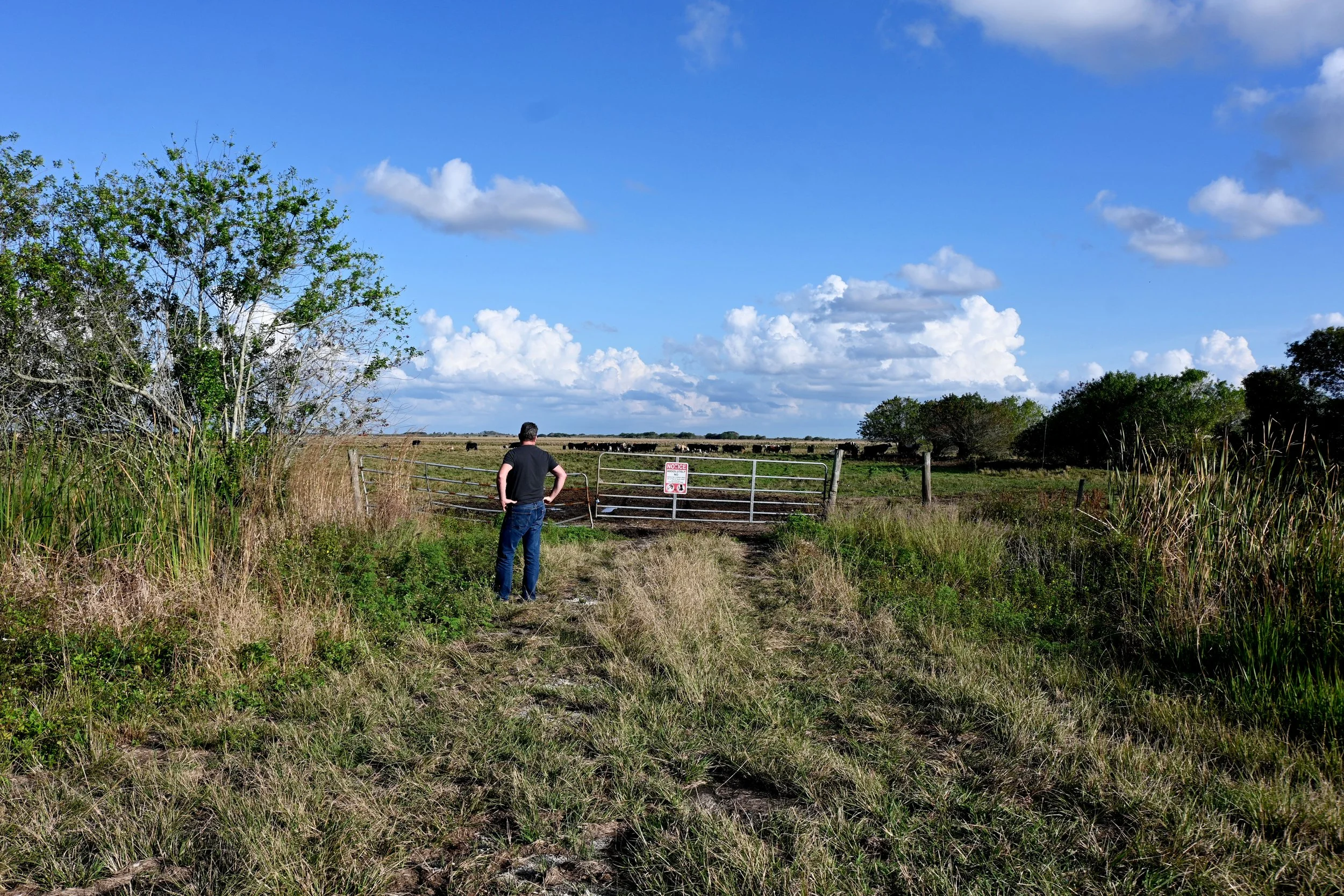 Simon Scurlock is a mentee for the Perspectives Photo School Mentorship Program focusing on developing each individual photographer's voice and visual storytelling strengths.  