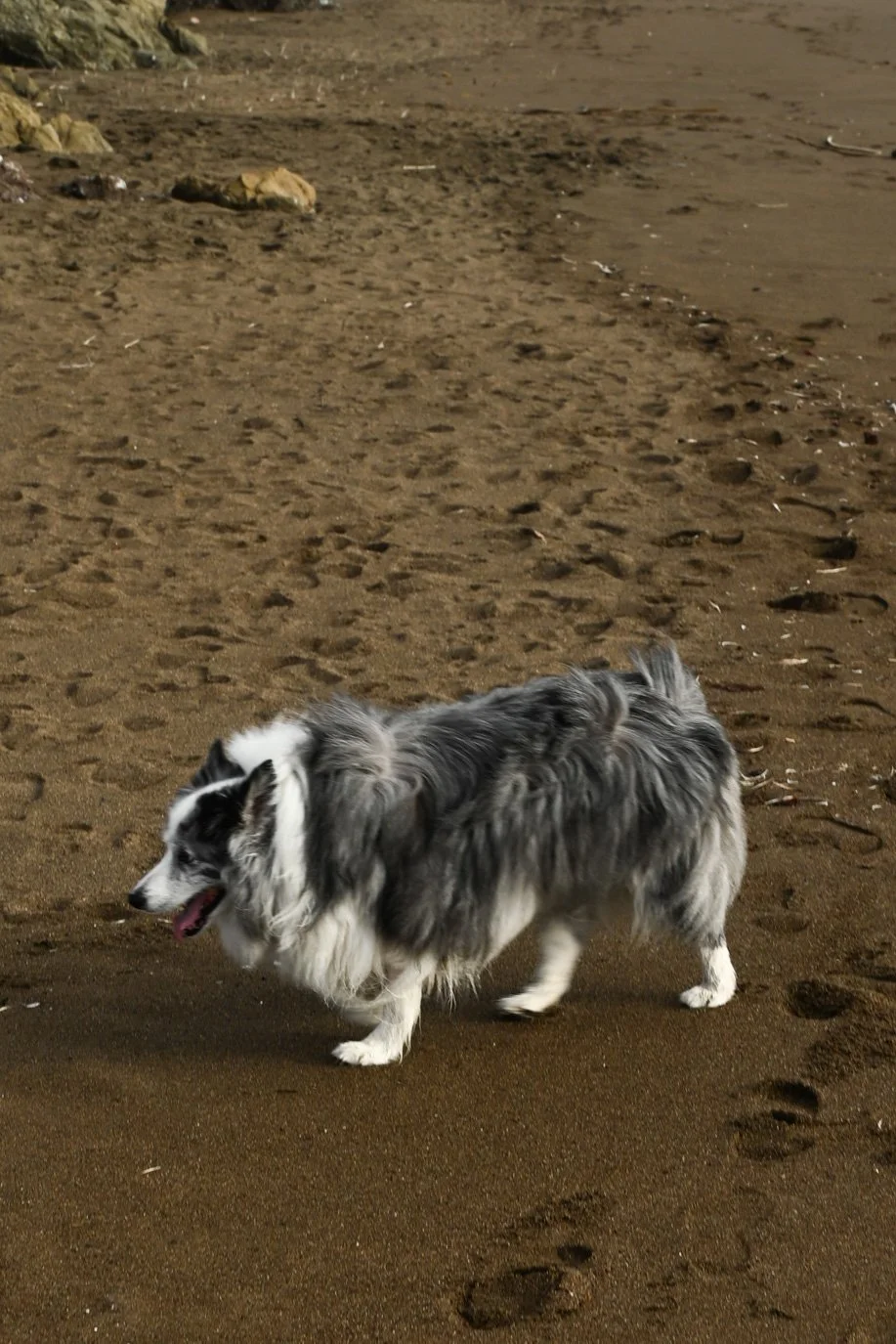 SylvieWebsite_PerspectivesPhosoSchool (32 of 37).jpg