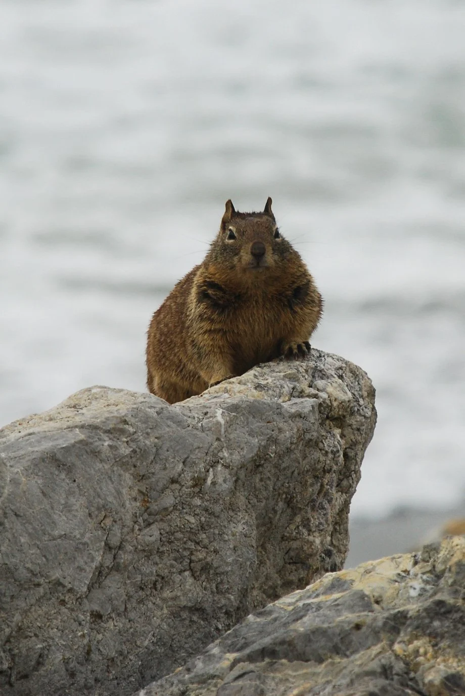 SylvieWebsite_PerspectivesPhosoSchool (33 of 37).jpg