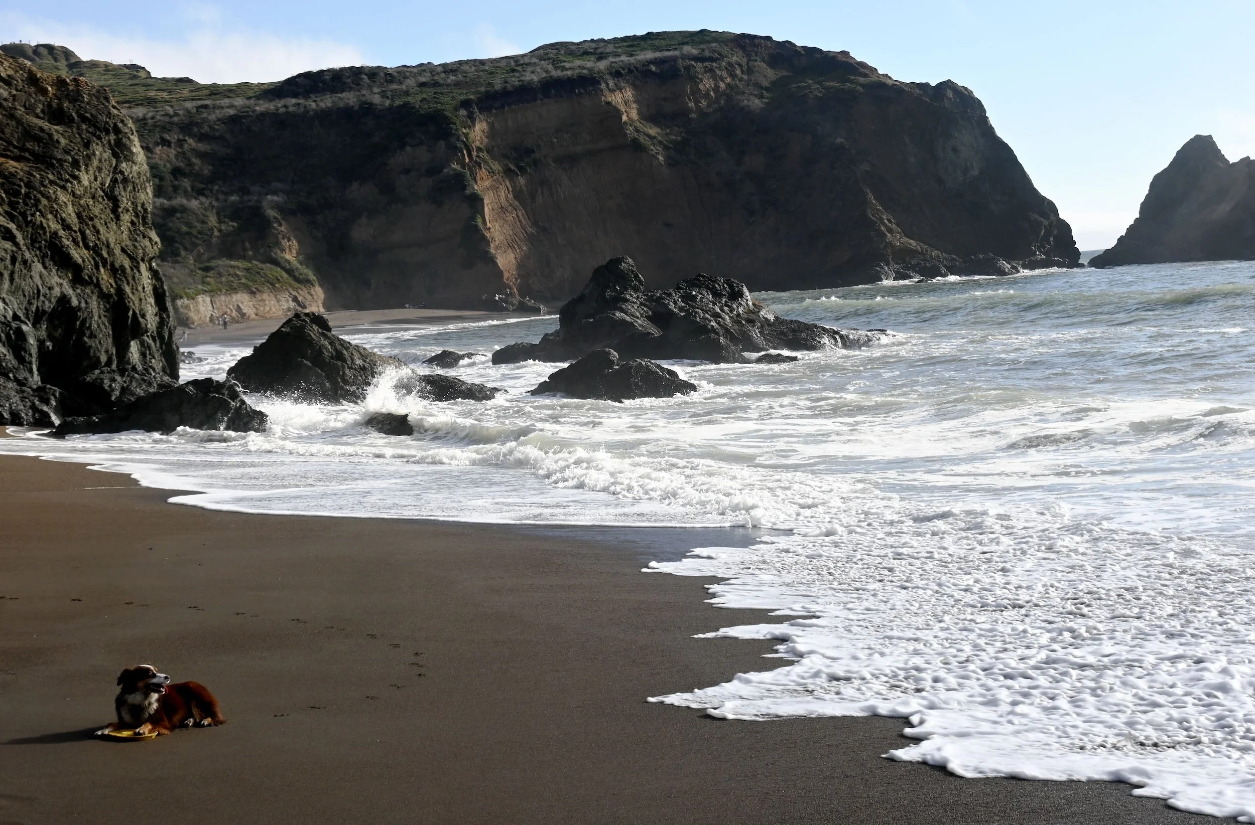 Dog resting on a sandy beach near the shoreline with ocean waves, large rocks, and cliffs in the background.