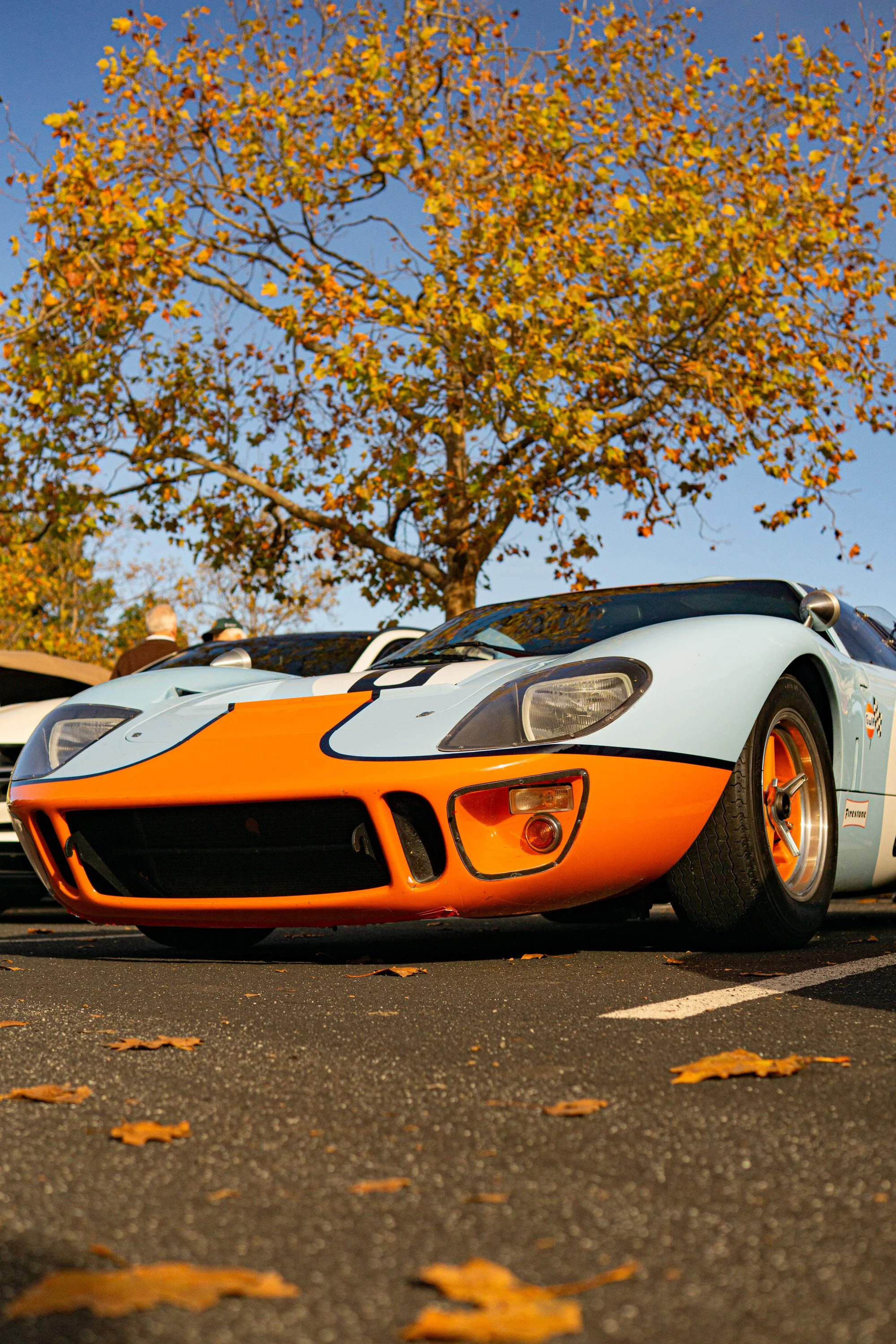 LoganSinger_PerspectivesphotoschoolPortfolio (5 of 30).jpg