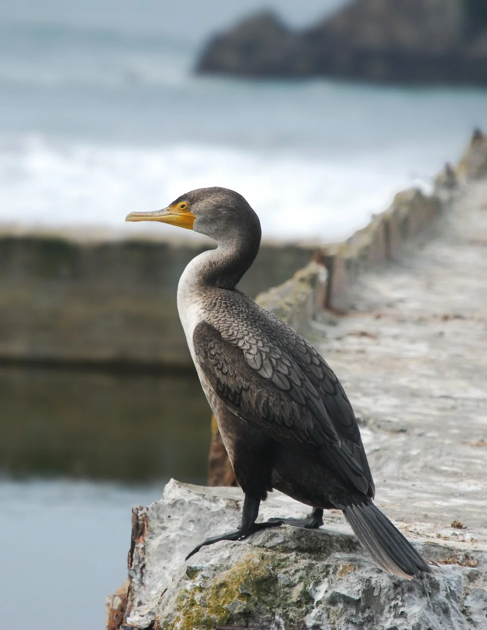 SylvieWebsite_PerspectivesPhosoSchool (2 of 37).jpg