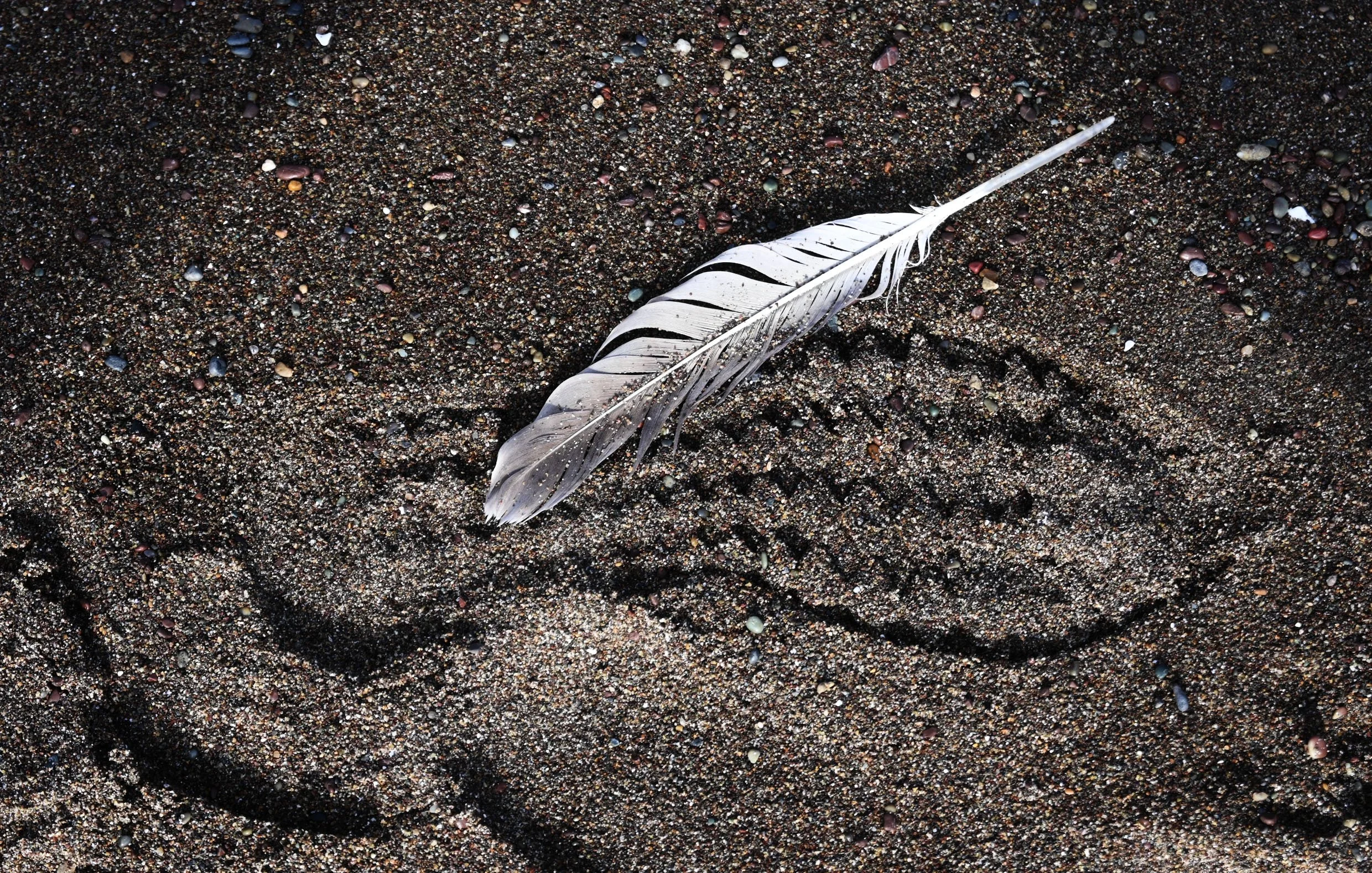 Simon Scurlock is a mentee for the Perspectives Photo School Mentorship Program focusing on developing each individual photographer's voice and visual storytelling strengths.  